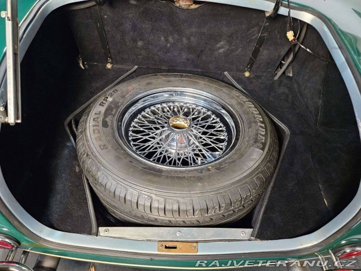 Cobra Ostatní modely Hawk Cobra Cobra 289, V8 3,5 1971