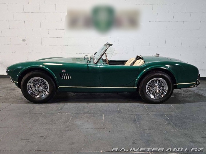 Cobra Ostatní modely Hawk Cobra Cobra 289, V8 3,5 1971