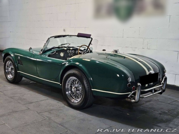 Cobra Ostatní modely Hawk Cobra Cobra 289, V8 3,5 1971