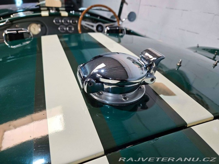 Cobra Ostatní modely Hawk Cobra Cobra 289, V8 3,5 1971