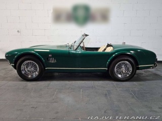 Cobra Ostatní modely Hawk Cobra Cobra 289, V8 3,5 1971