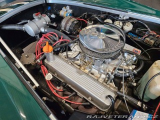 Cobra Ostatní modely Hawk Cobra Cobra 289, V8 3,5 1971