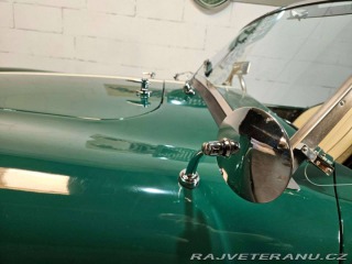 Cobra Ostatní modely Hawk Cobra Cobra 289, V8 3,5 1971