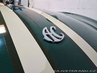 Cobra Ostatní modely Hawk Cobra Cobra 289, V8 3,5 1971
