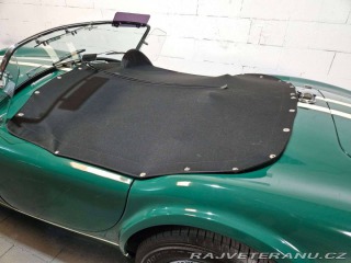 Cobra Ostatní modely Hawk Cobra Cobra 289, V8 3,5 1971