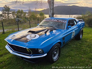Ford Mustang 302 Small Block V8