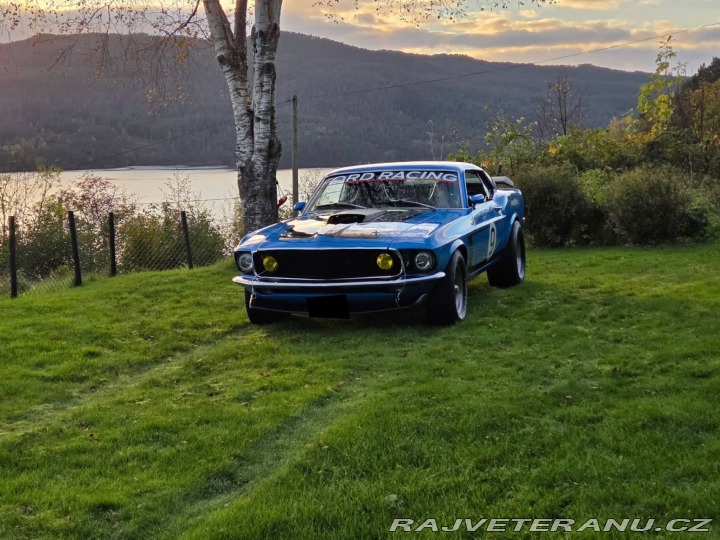 Ford Mustang 302 Small Block V8 1970