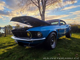 Ford Mustang 302 Small Block V8 1970
