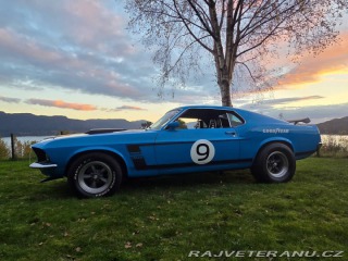 Ford Mustang 302 Small Block V8 1970