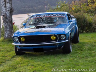 Ford Mustang 302 Small Block V8 1970