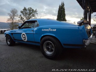 Ford Mustang 302 Small Block V8 1970