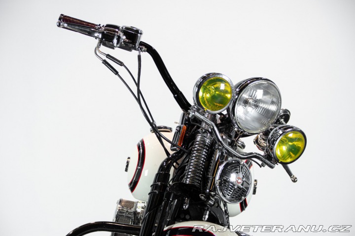 Harley-Davidson Ostatní modely HERITAGE SOFTAIL CLASSIC 1994