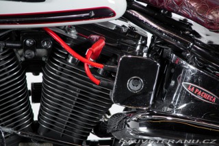 Harley-Davidson Ostatní modely HERITAGE SOFTAIL CLASSIC 1994