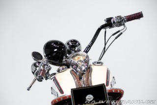 Harley-Davidson Ostatní modely HERITAGE SOFTAIL CLASSIC 1994