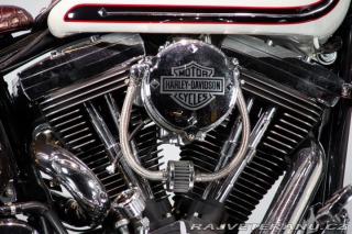 Harley-Davidson Ostatní modely HERITAGE SOFTAIL CLASSIC 1994