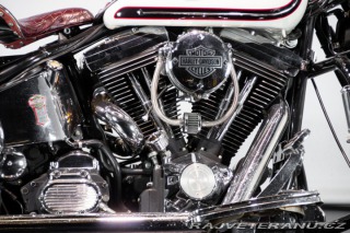 Harley-Davidson Ostatní modely HERITAGE SOFTAIL CLASSIC 1994