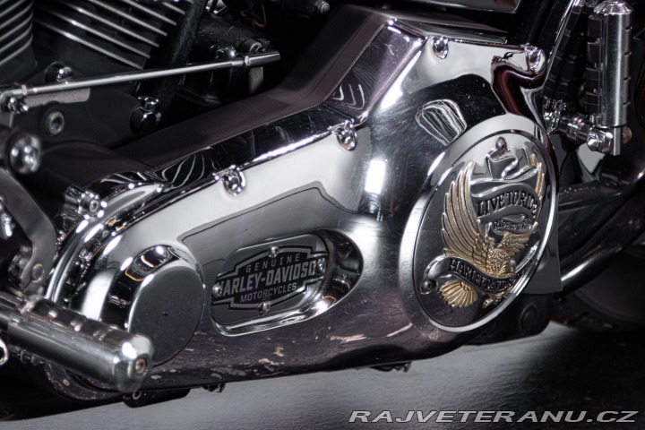 Harley-Davidson Ostatní modely SOFTAIL SPRINGER 1998