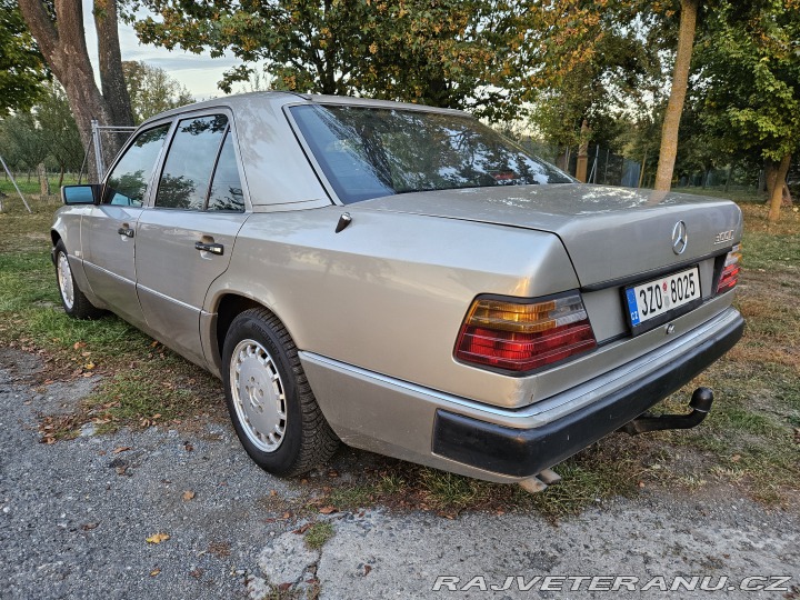 Mercedes-Benz E 300D W124 1991