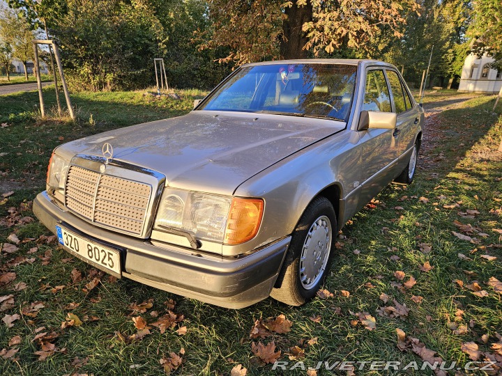 Mercedes-Benz E 300D W124 1991