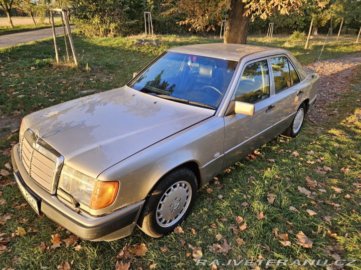 Mercedes-Benz E 300D W124 1991