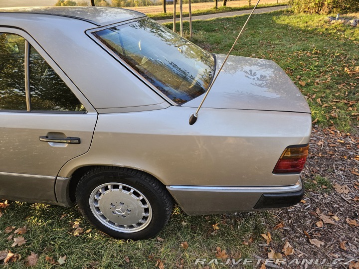 Mercedes-Benz E 300D W124 1991