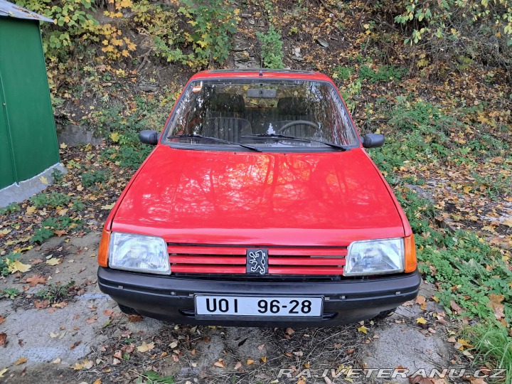 Peugeot 205 Color Line 1990