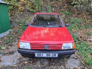 Peugeot 205 Color Line 1990