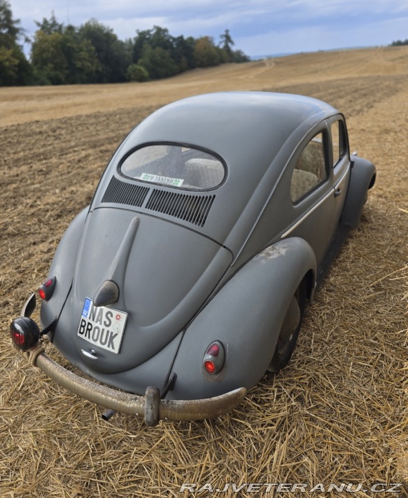 Volkswagen Brouk Ovál 1953