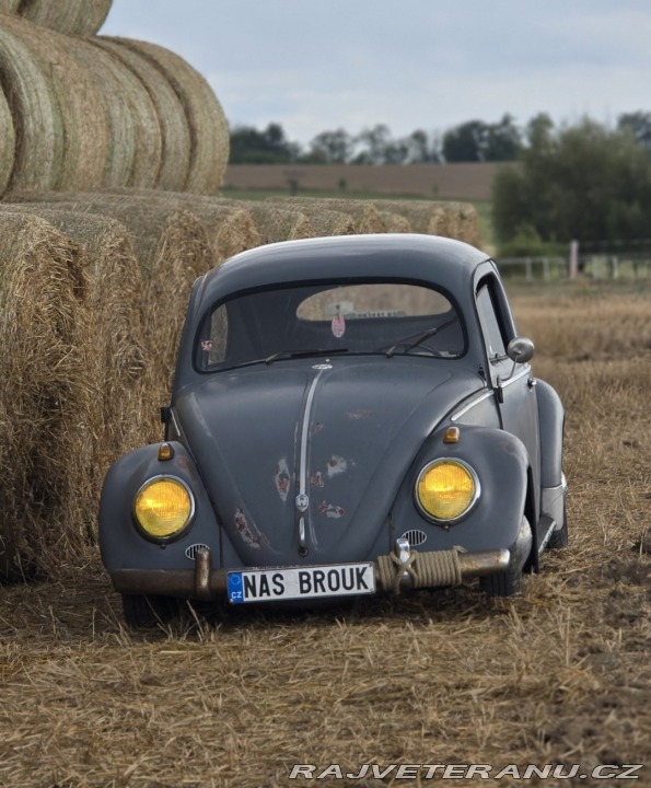 Volkswagen Brouk Ovál 1953