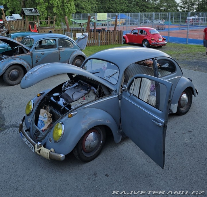 Volkswagen Brouk Ovál 1953