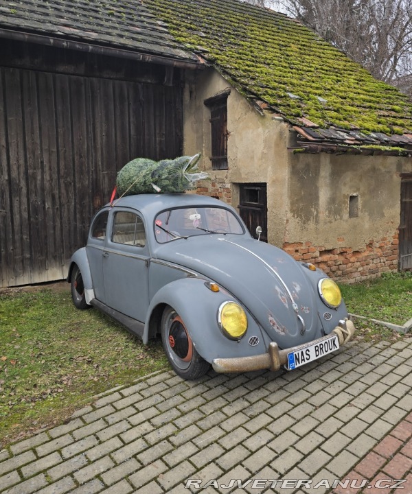 Volkswagen Brouk Ovál 1953