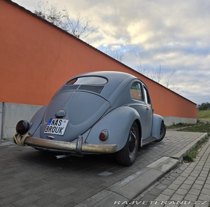 Volkswagen Brouk Ovál 1953