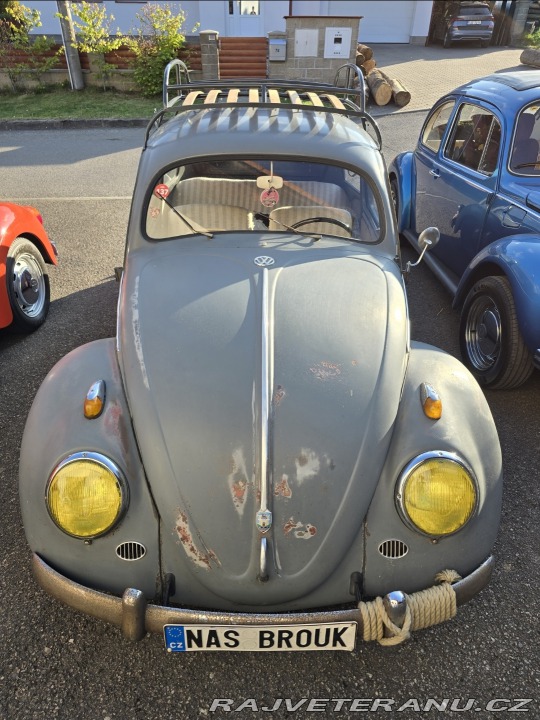 Volkswagen Brouk Ovál 1953