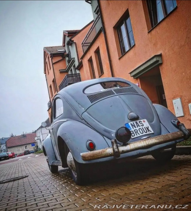 Volkswagen Brouk Ovál 1953