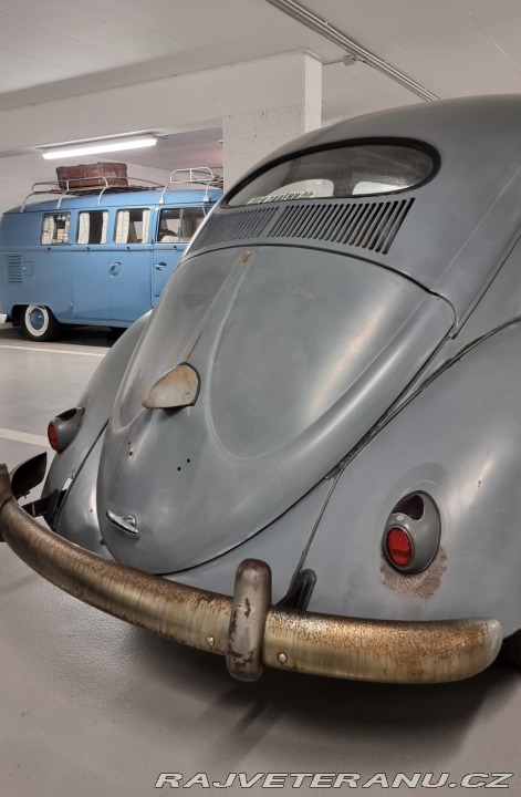 Volkswagen Brouk Ovál 1953