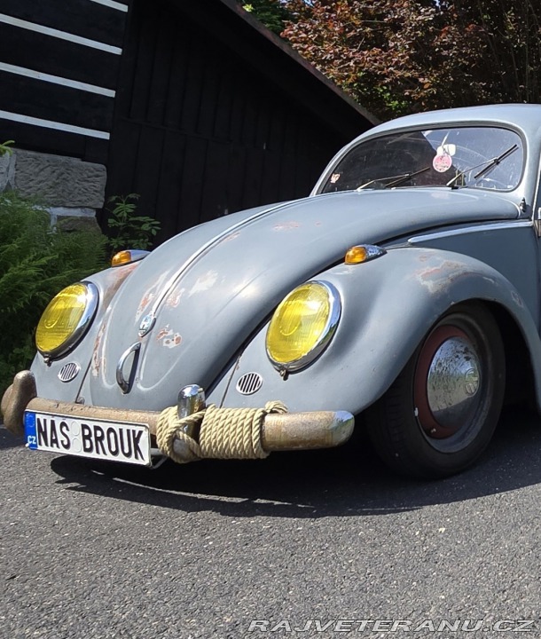 Volkswagen Brouk Ovál 1953