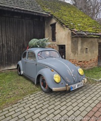Volkswagen Brouk Ovál 1953