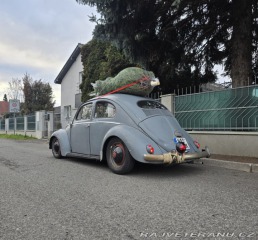 Volkswagen Brouk Ovál 1953