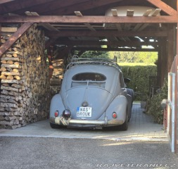 Volkswagen Brouk Ovál 1953