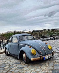 Volkswagen Brouk Ovál 1953