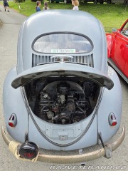 Volkswagen Brouk Ovál 1953