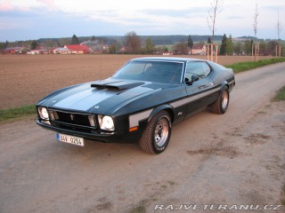 Ford Mustang Mach1 Fastback Cobra Jet 1973