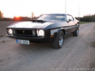 Ford Mustang Mach1 Fastback Cobra Jet 1973