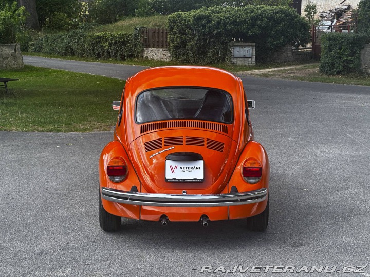 Volkswagen Brouk 1974
