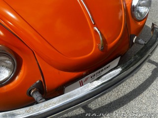 Volkswagen Brouk 1974