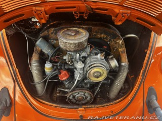Volkswagen Brouk 1974