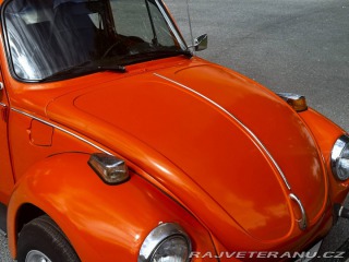 Volkswagen Brouk 1974
