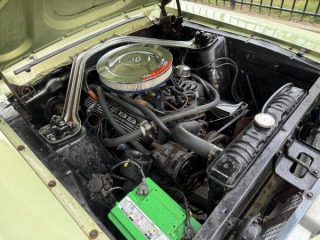 Ford Mustang Fastback 1967