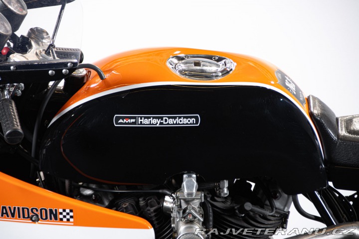 Harley-Davidson XL IRONHEAD XL 1000 SPECIAL 1979