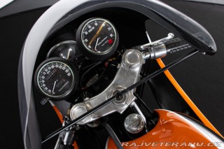 Harley-Davidson XL IRONHEAD XL 1000 SPECIAL 1979